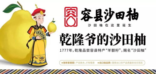 夢回唐朝楊貴妃，沙田有柚震乾隆——廣西旅游年卡與旅發(fā)旅行社集團(tuán)攜手共譜文化之旅